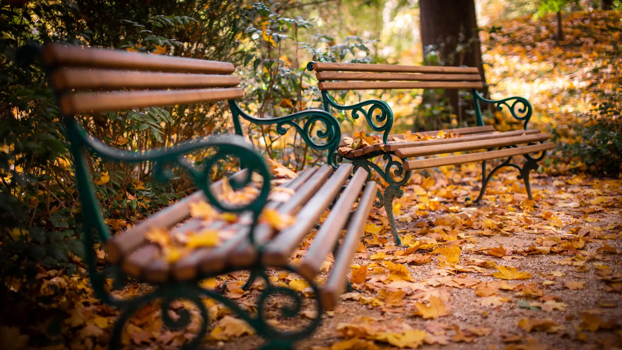 GymOutdoor Benches img
